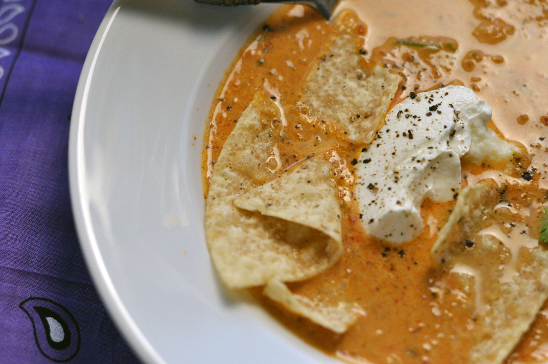 Creamy Chicken Enchilada Soup ~ Cold & Hot Blender Recipe - The Salted  Pepper