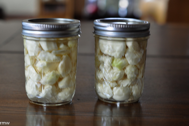 How To Pickle Garlic The Rocky Mountain Woman