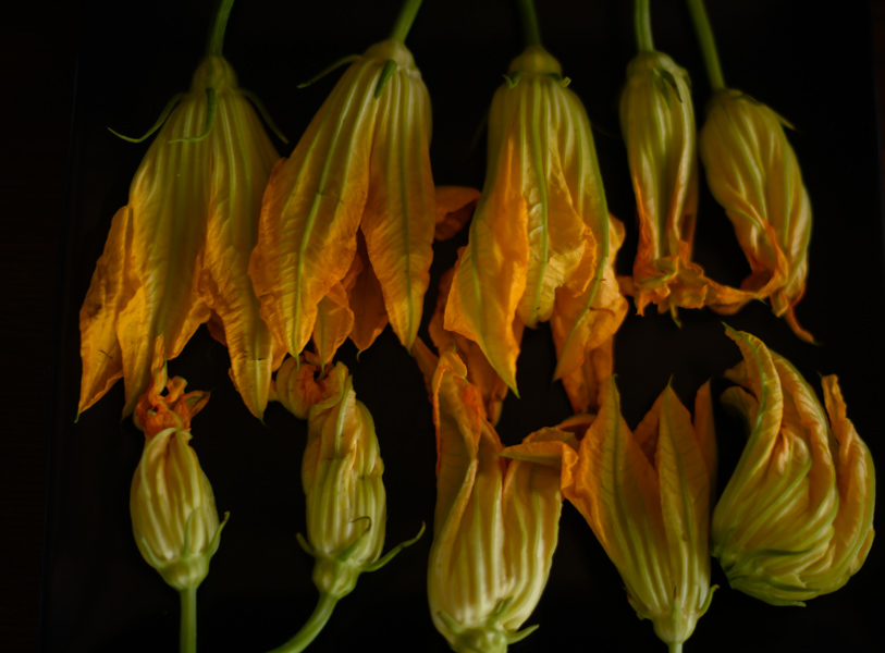 Squash Blossoms 